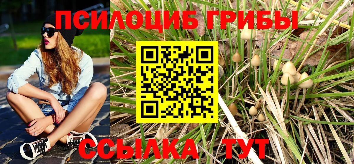 Галлюциногенные грибы Magic Shrooms  Вход с VPN  Кинель 