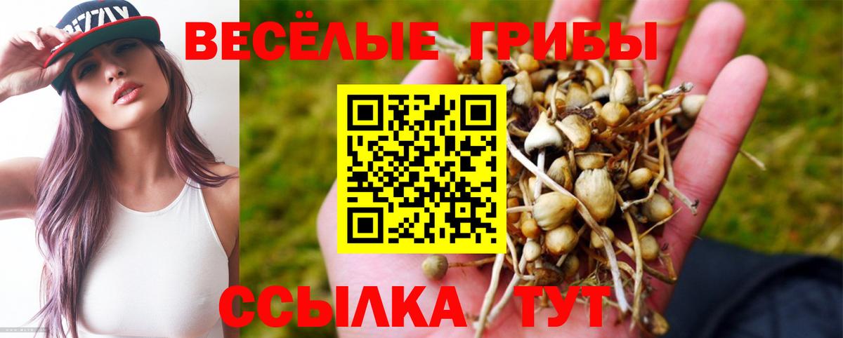 Галлюциногенные грибы ЛСД Кинель