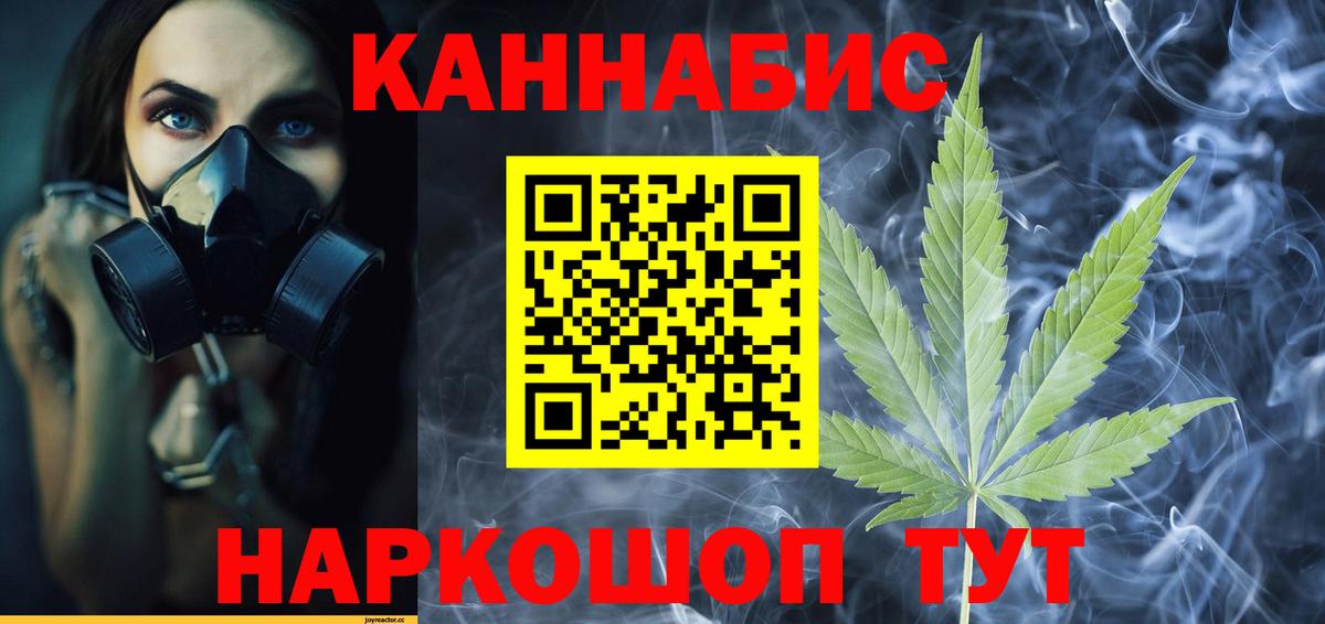 Каннабис OG Kush Кинель